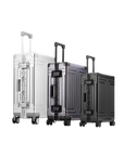 The Jetsetter Luggage Set